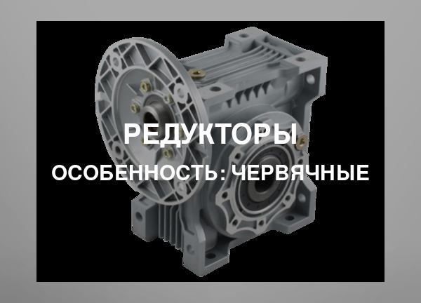 Особенность: Червячные